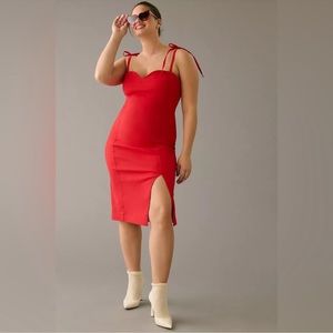 NWT Anthropologie Slim Corset Dress Size 1X